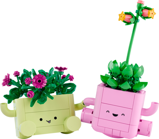 Rocking Plants