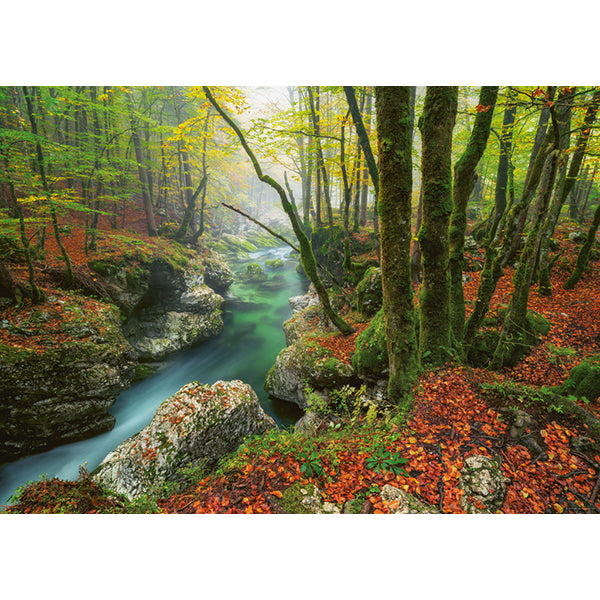 Little Brook, Magic Forests - 1000 piec