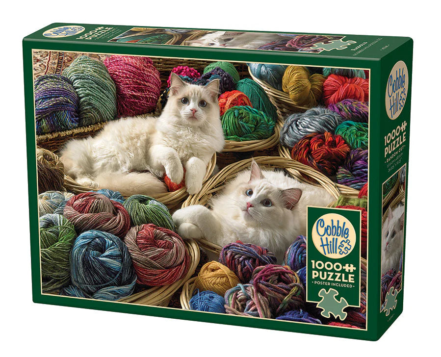 Ragdolls - 1000pc