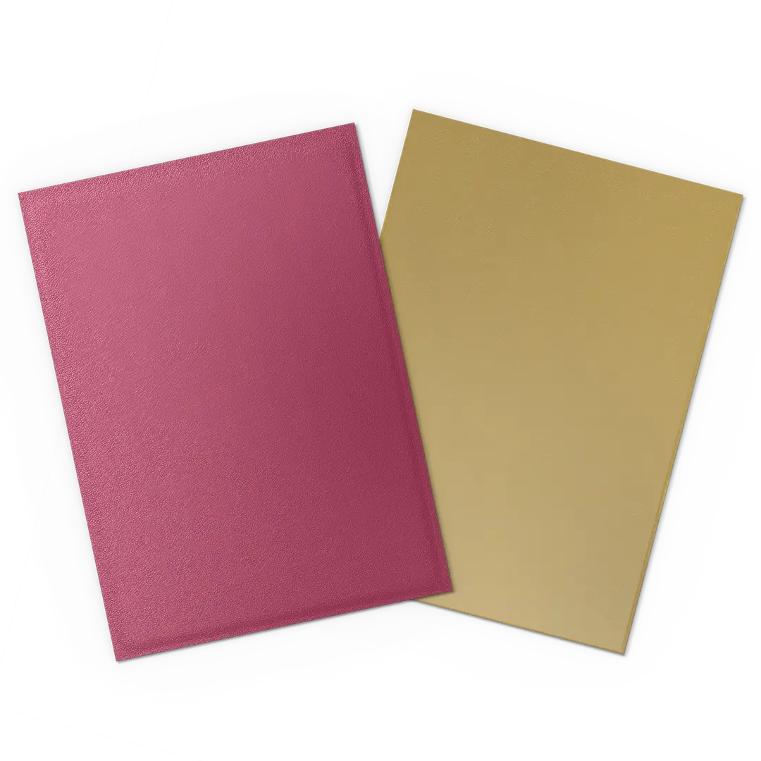 Dragon Shield: Special Edition: Matte DUAL: Anniversary: Red/Gold (100)