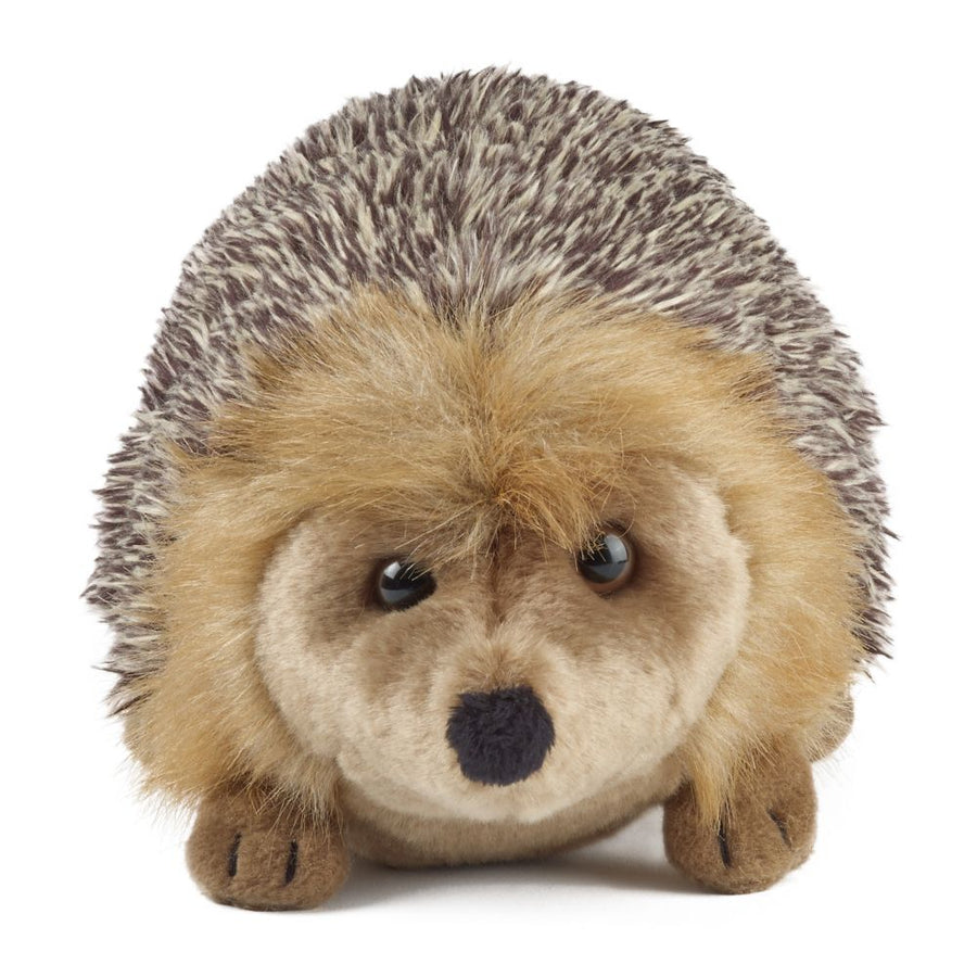 Hedgehog Large