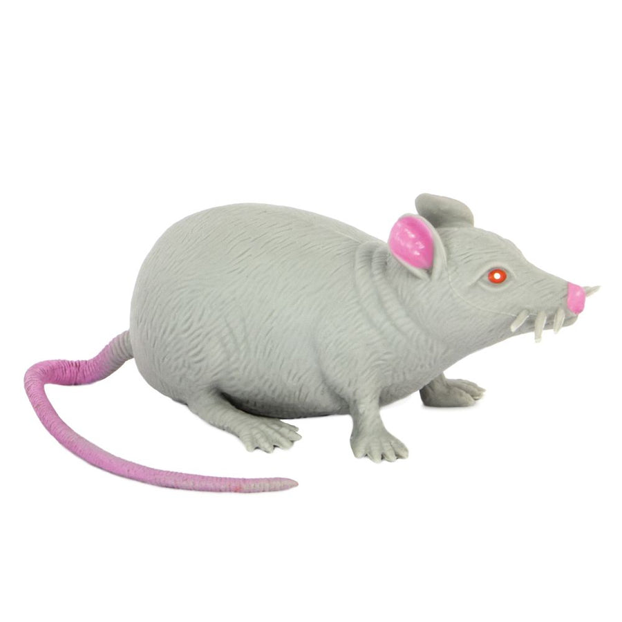 Stretchy Rat