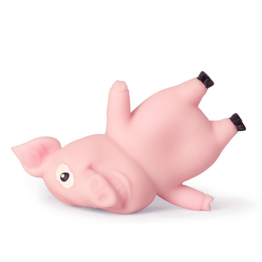Stretch 'N Smash Mini Pig Sensory Toy