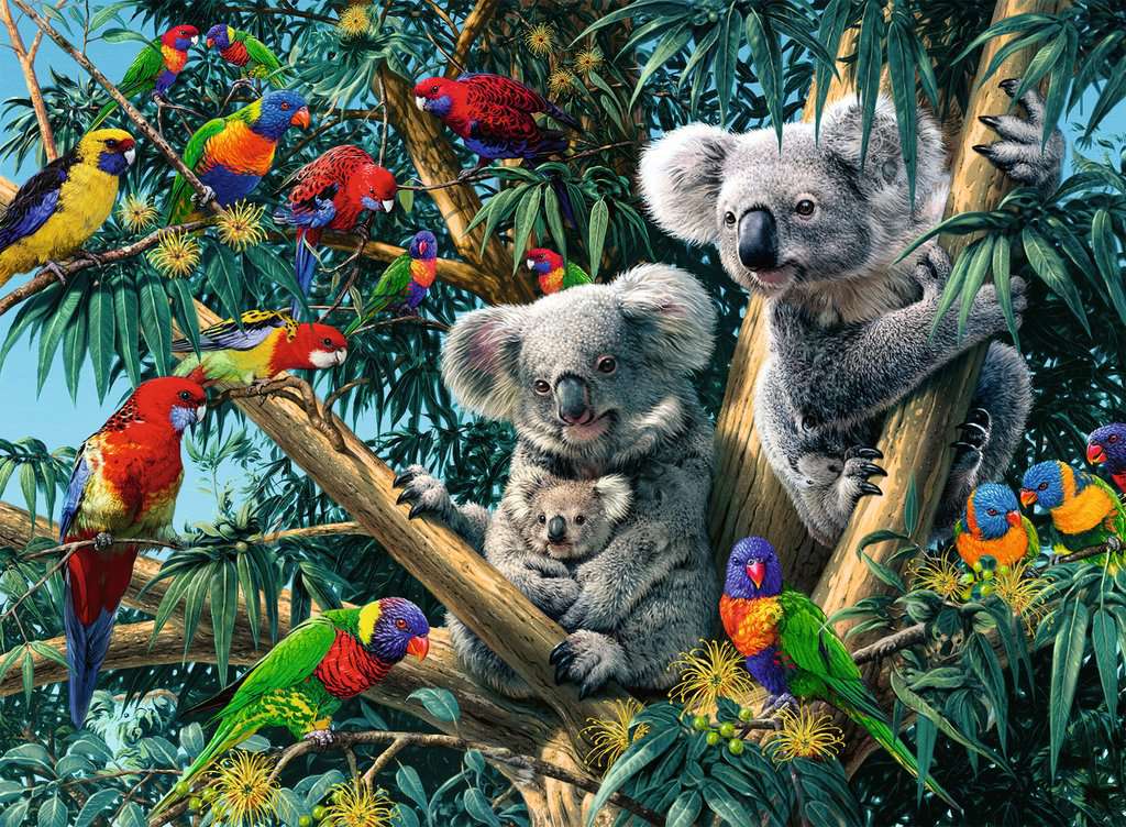 Koalas in a Tree - 500pc