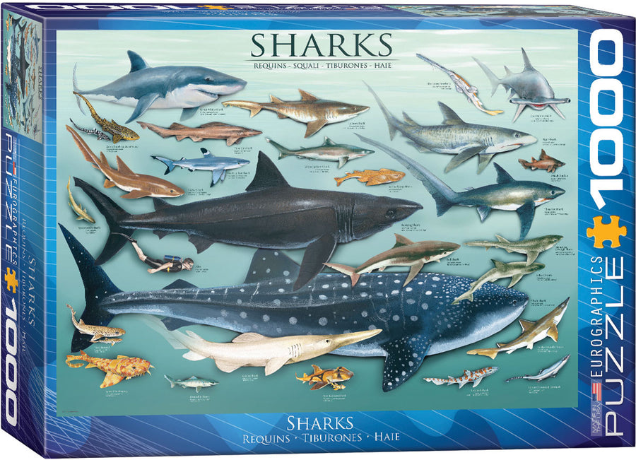 Sharks - 1000pc