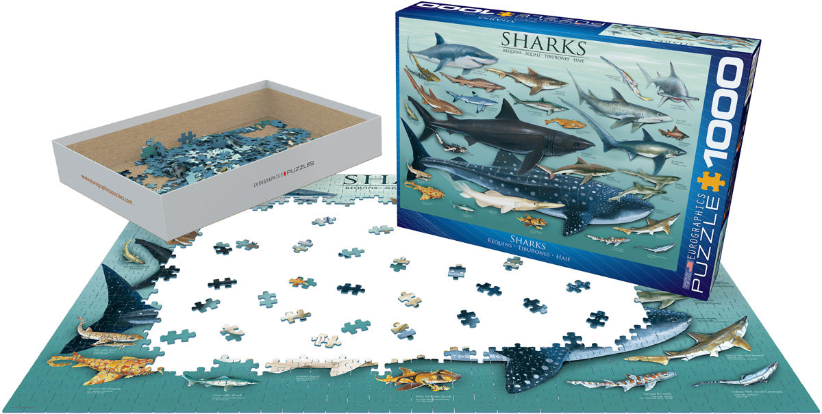 Sharks - 1000pc