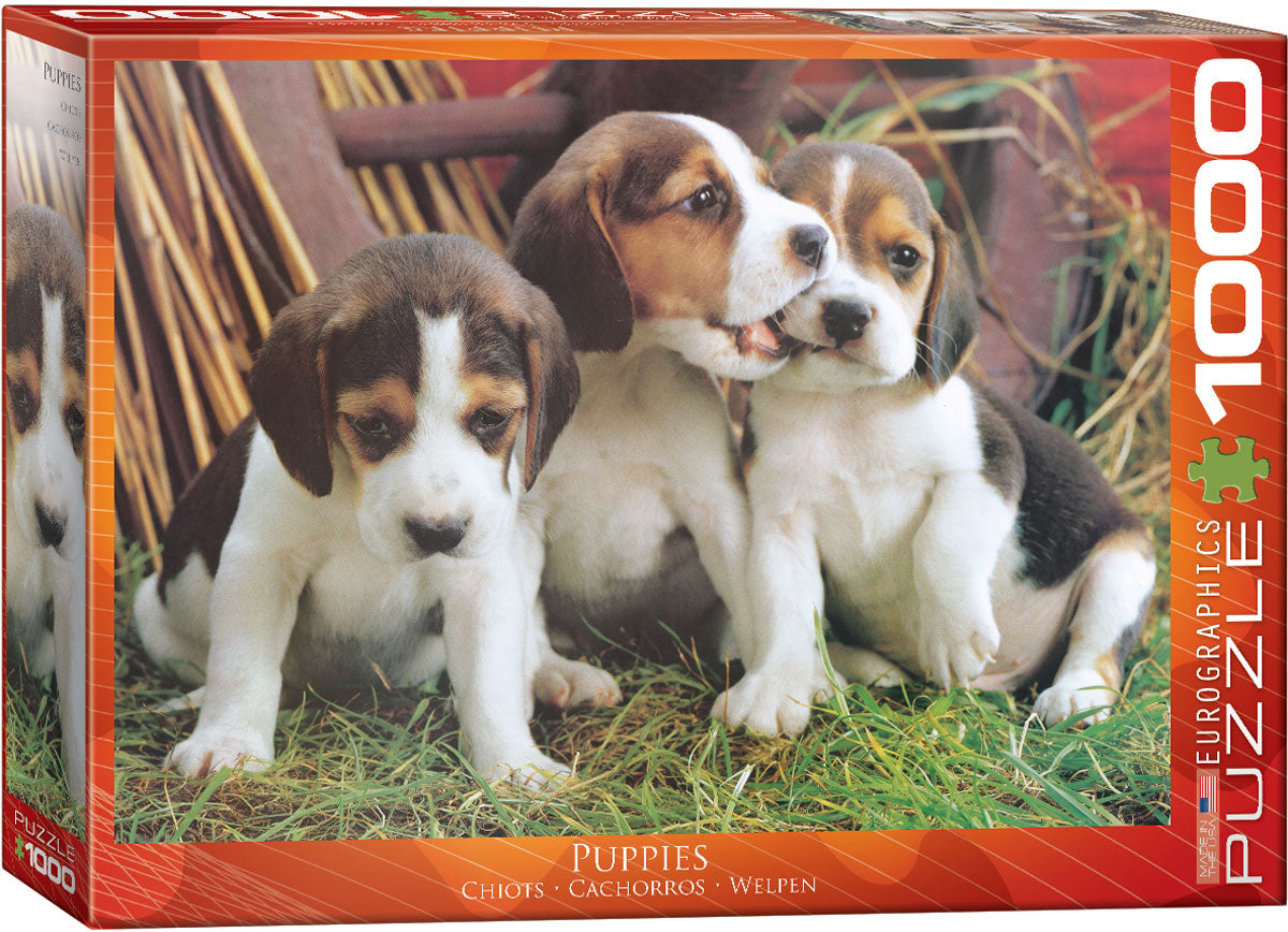 Puppies - 1000pc