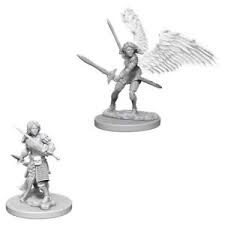 D&D Aasimar Paladin Female