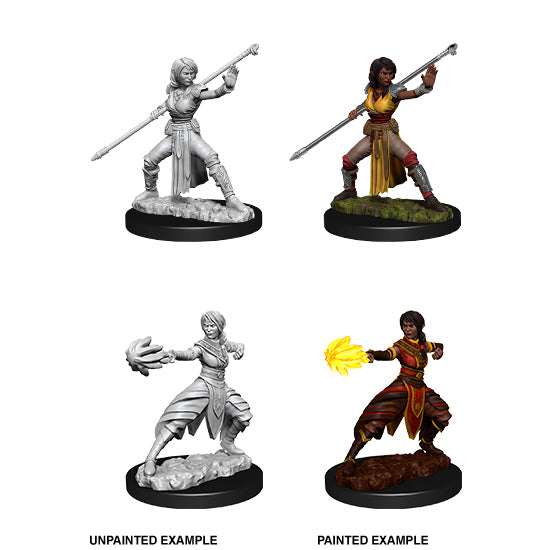 D&D Nolzurs Marvelous Unpainted Miniature Wave 10: Female Half Elf Monk