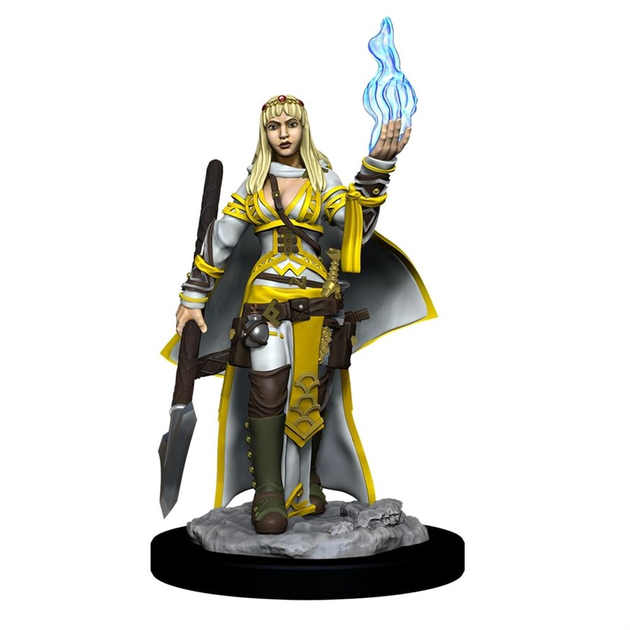 D&D Miniature: Wave 11: Female Human Oracle