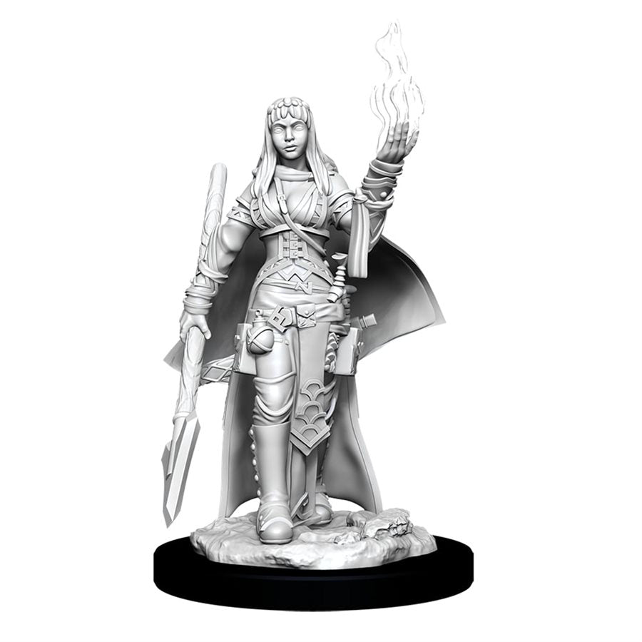 D&D Miniature: Wave 11: Female Human Oracle