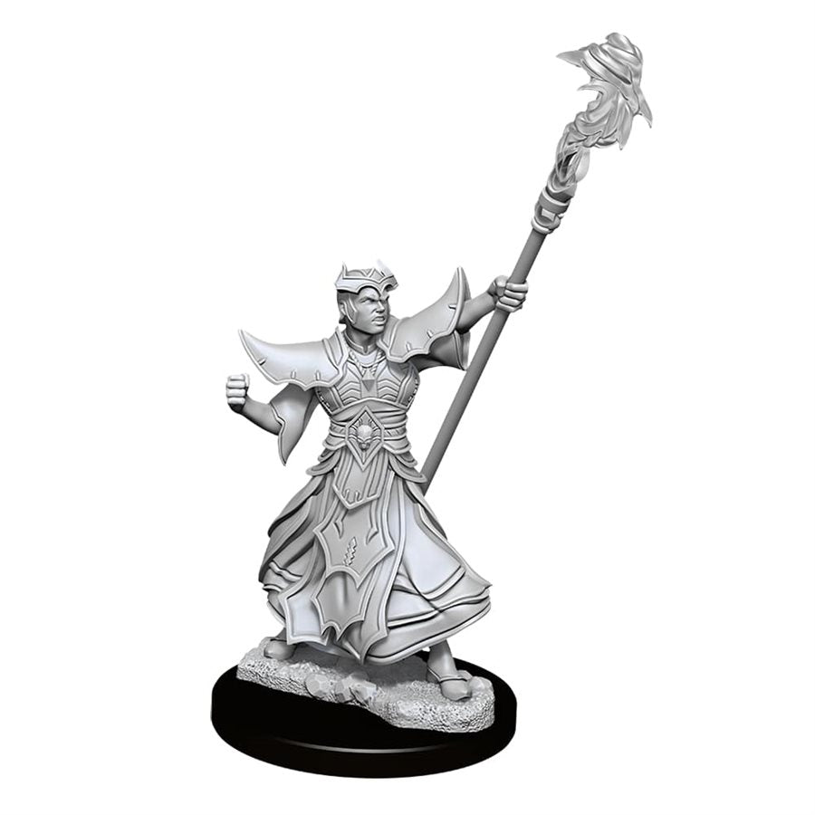 D&D Miniature: Wave 11: Male Human Sorcerer