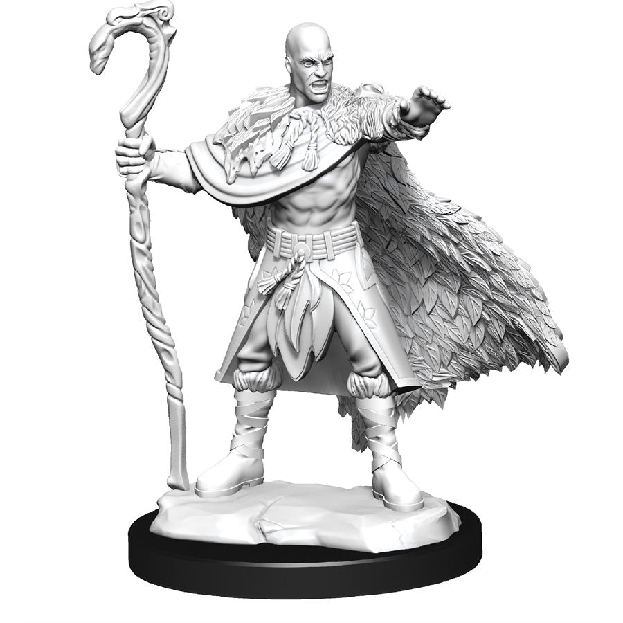 D&D Nolzur's Marvelous Miniatures: Wave 14: Human Druid Male