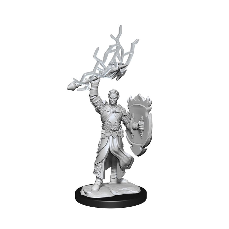D&D Nolzur's Marvelous Miniatures: Wave 14: Half-Elf Paladin Male