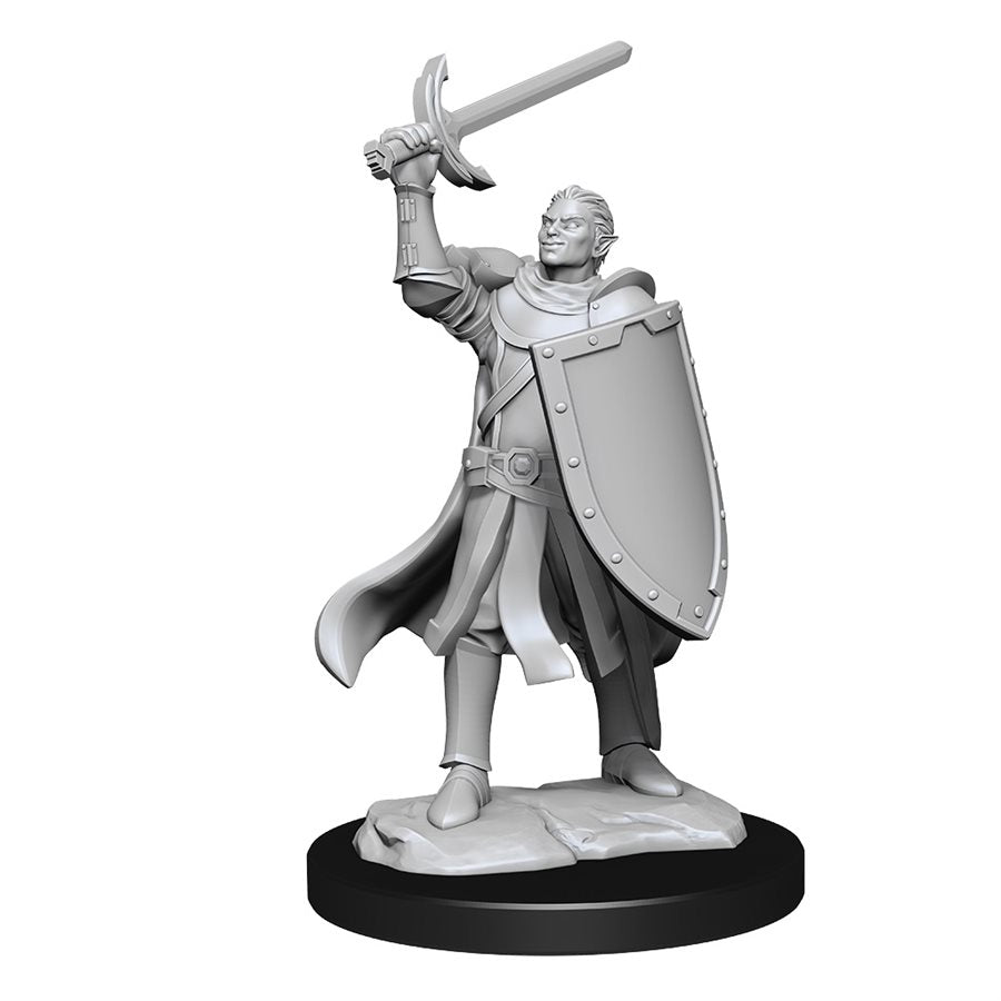 D&D Nolzur's Marvelous Miniatures: Wave 14: Half-Elf Paladin Male