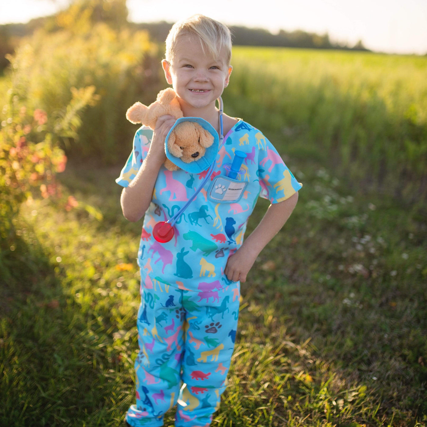 Veterinarian Scrubs and Accessories Dress Up