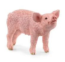 Piglet