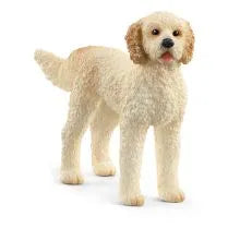 Goldendoodle