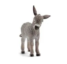 Donkey Foal