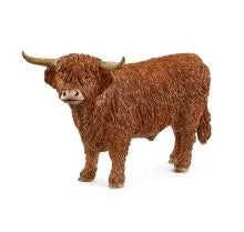 Highland Bull